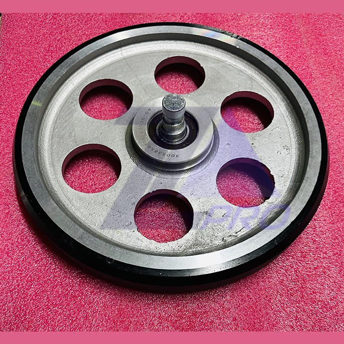 Ролик башмака RG300 D300/25мм W=38мм с осью KM390522G01 Kone