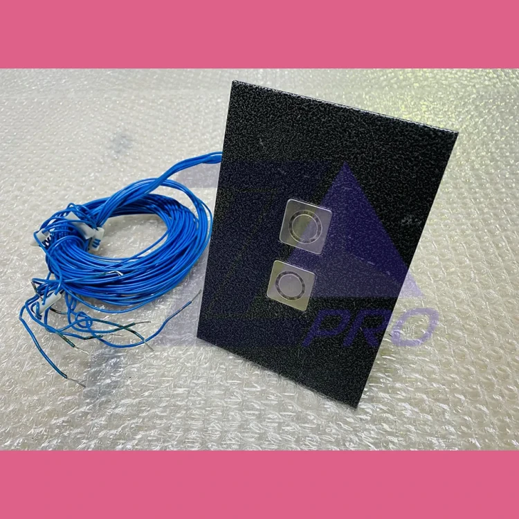 Пост лифтовой вызывной двухкнопочный ПЛВ 13-К1М0200ЩУ3 ЩЛЗ